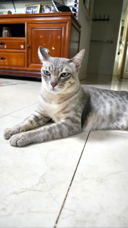 ฟุกุ