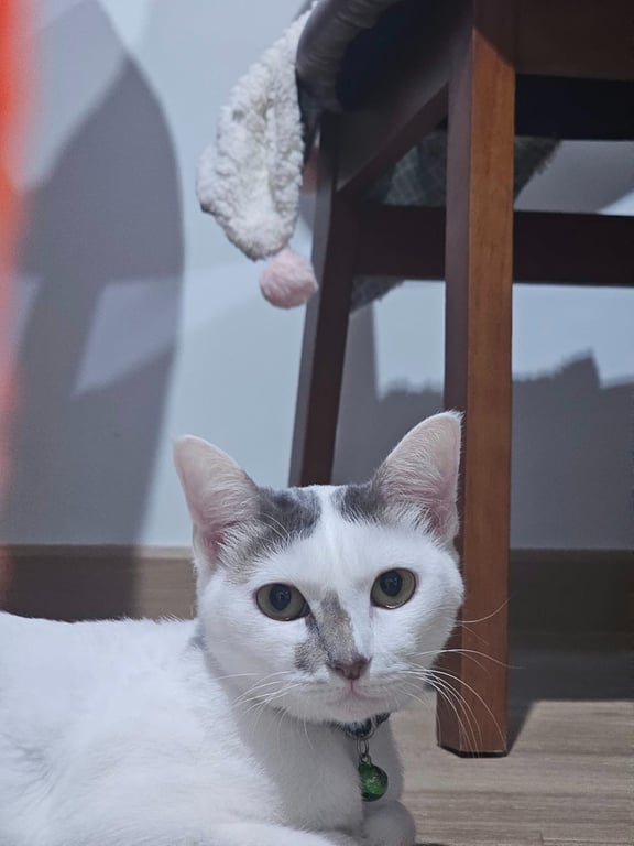 น้องไอยู