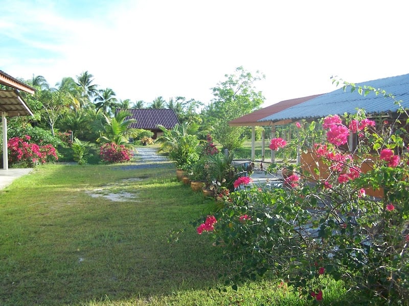Coconut Valley ( Closed )