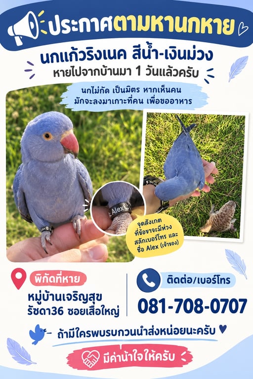 พีโม่