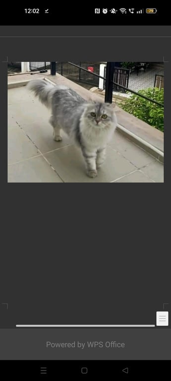 ปุกปุย