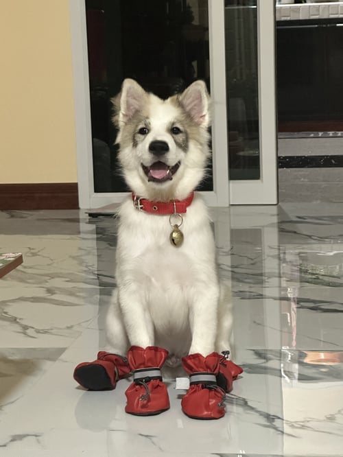 ยูโร