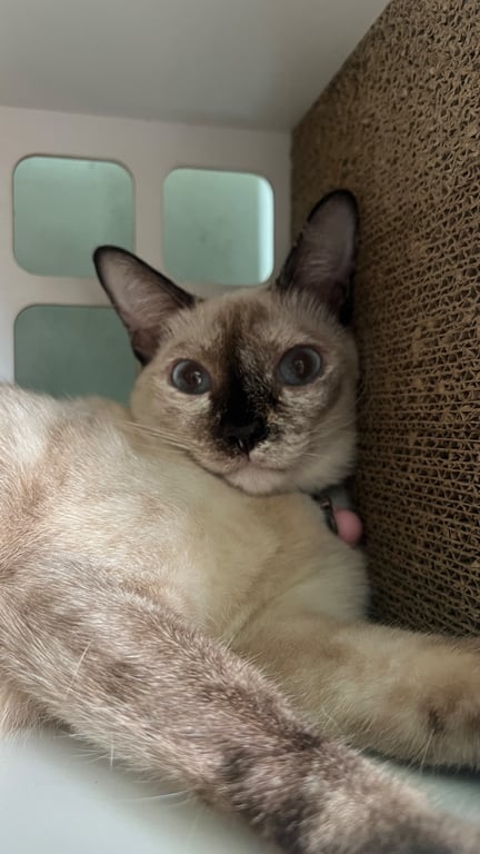 มีตังค์
