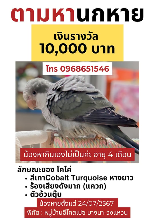 โคโค่