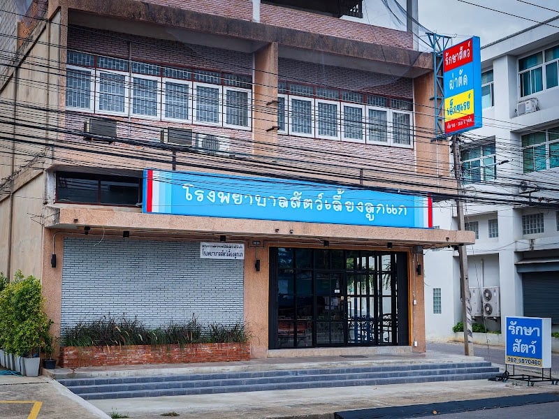 โรงพยาบาลสัตว์เลี้ยงลูกแก