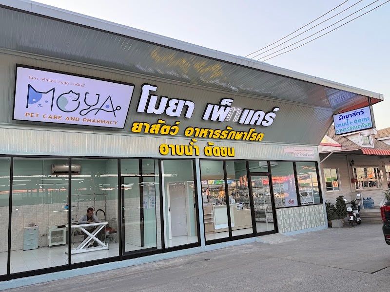 โมยา เพ็ทแคร์(MOYA Pet Care) สาขา6 ประชาอุทิศ