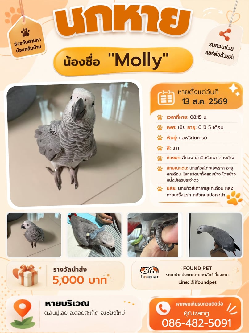 Molly