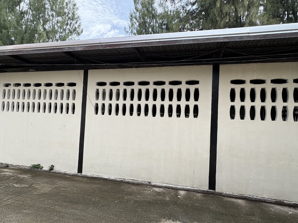 ตามหาเจ้าของแมว เจอ น้องเดินเข้าไปในโรงเก็บจานค่ะ