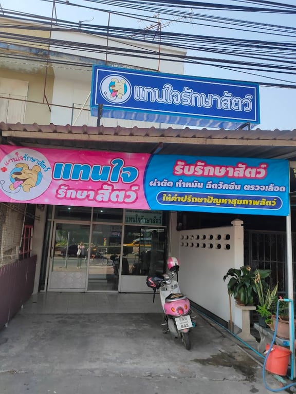 แทนใจรักษาสัตว์