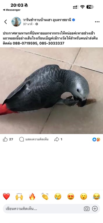 อาซาร์