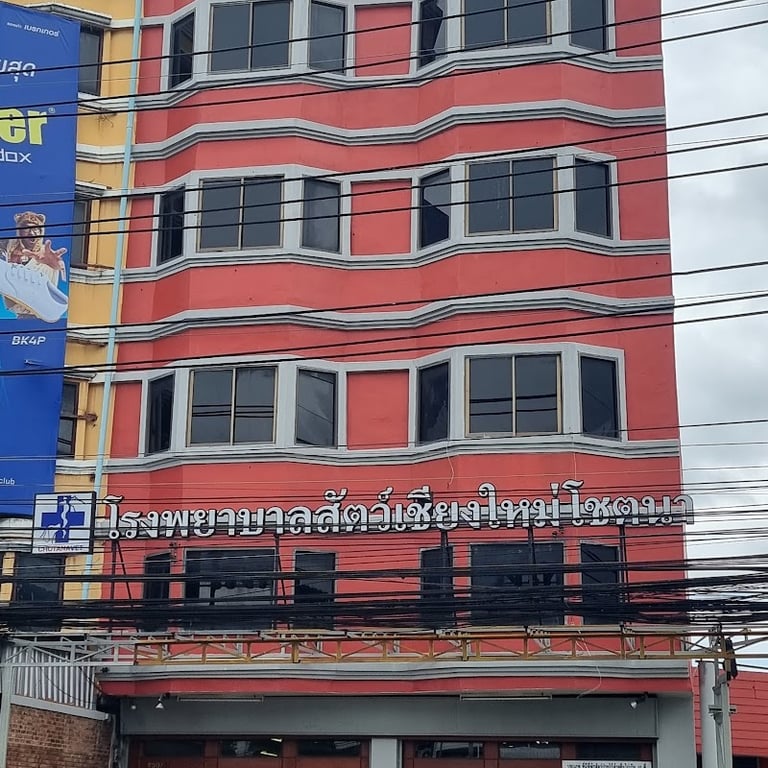 Chiang Mai Chotana Animal Hospital