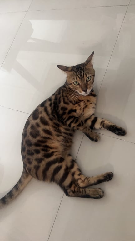 ยูโร