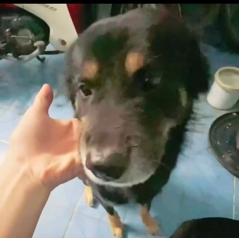 โชค