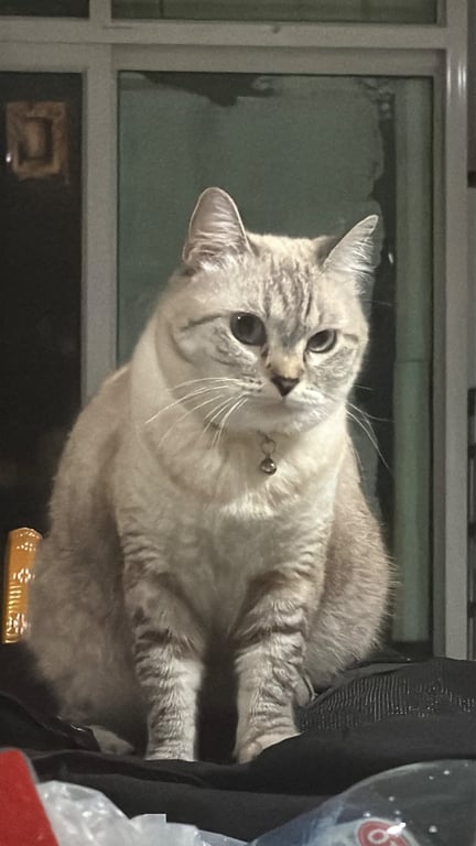 นาบี