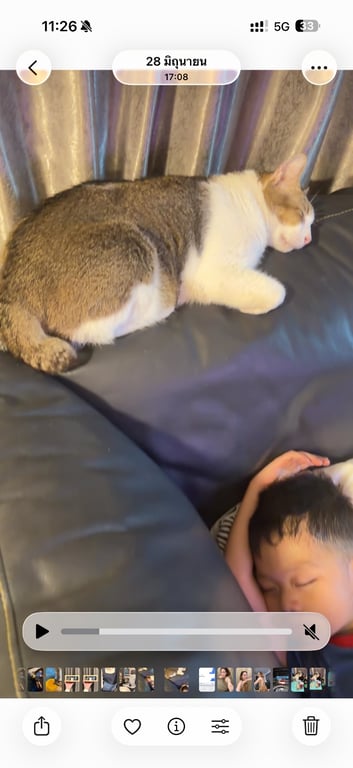 โซ่