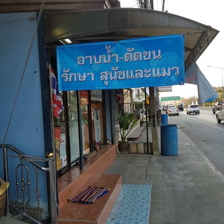 คลินิกเอื้อมพรรักษาสัตว์