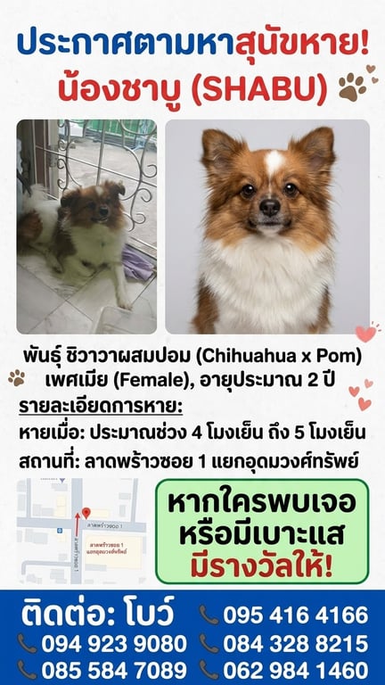 ชาบู