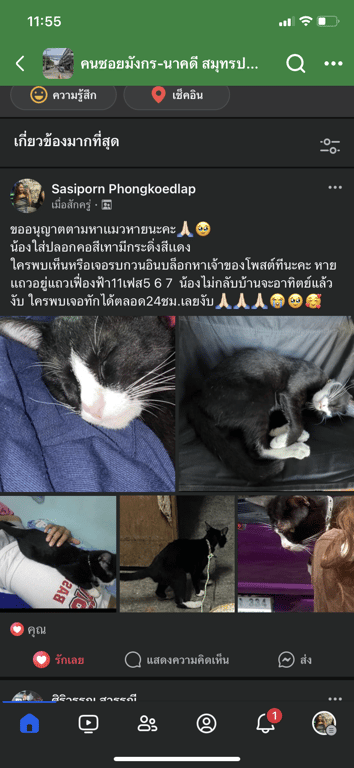 บุญรอด