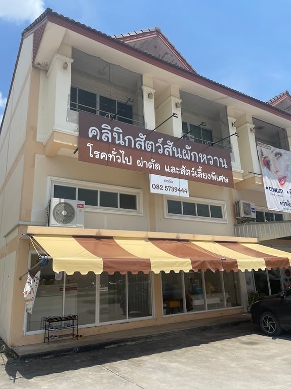 คลินิกสัตว์สันผักหวาน-SPW pet clinic