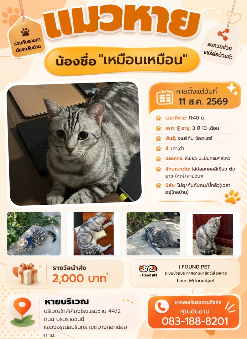 เหมือนเหมือน