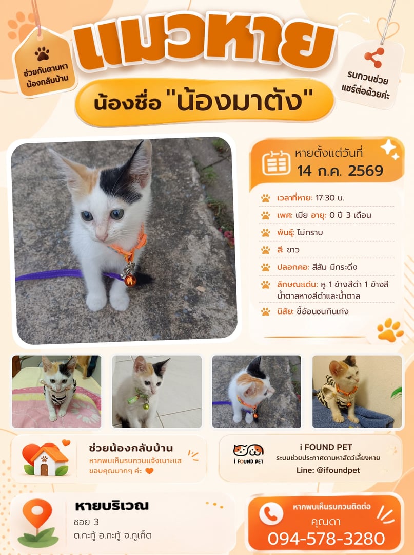 น้องมาตัง
