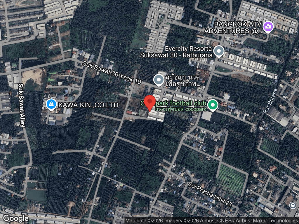 สถานที่หายของบัคกี้