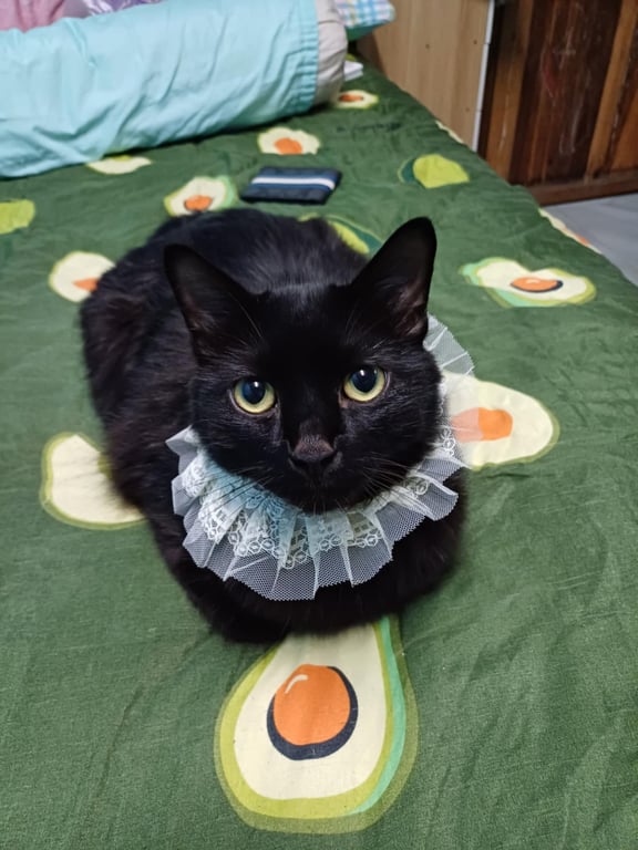 น้องมีตังค์