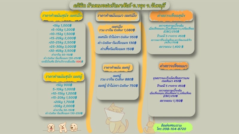 คลินิก บ้านหมอฝนรักษาสัตว์