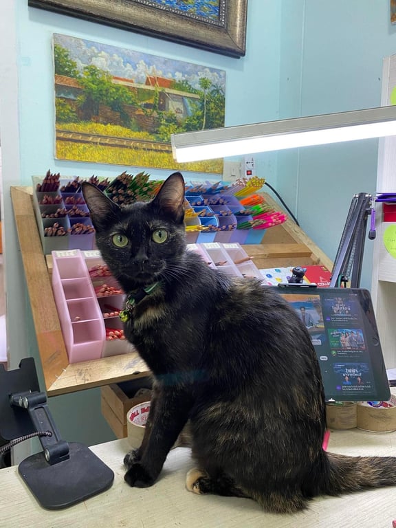 สเงี่ยม