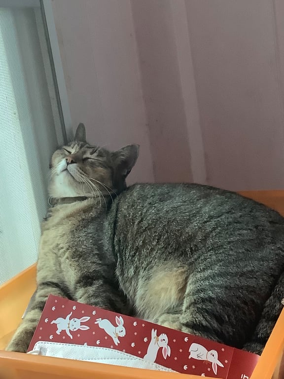 แอ๊ะ