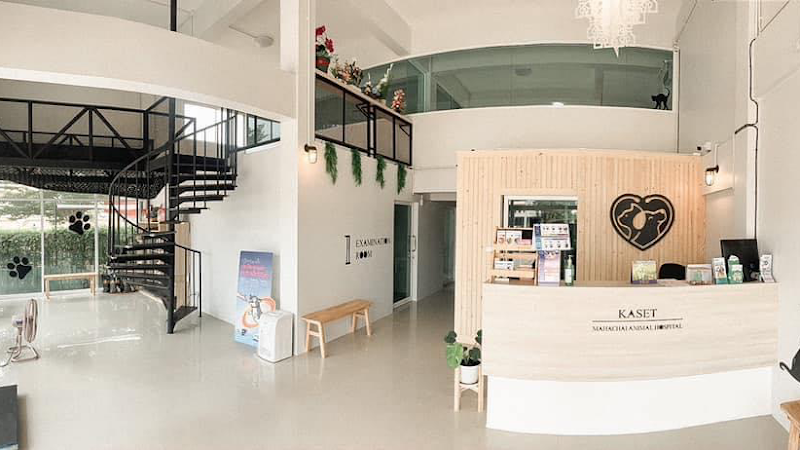 KMC Animal Hospital มหาชัย|ศูนย์ผ่าตัดและโรคหัวใจสัตว์เลี้ยง