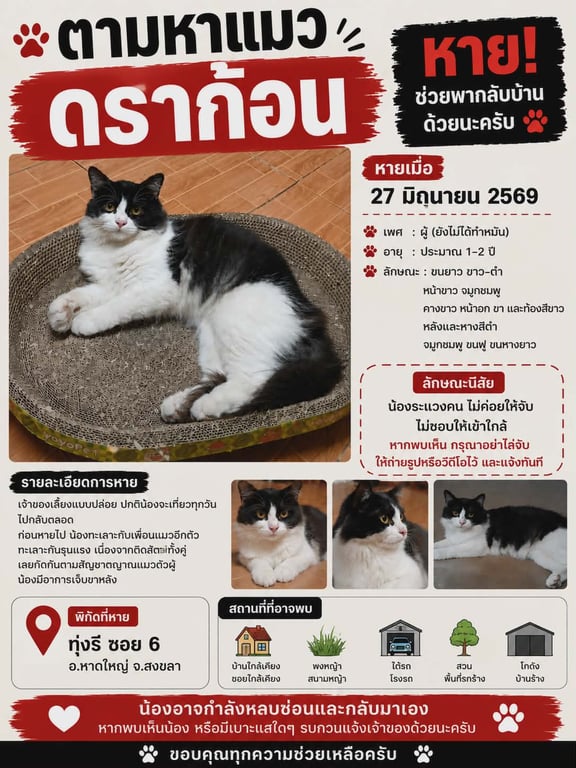 ดราก้อน