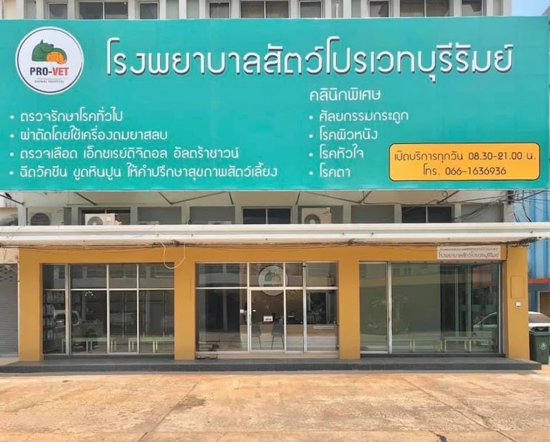 โรงพยาบาลสัตว์ โปรเวท บุรีรัมย์ Provet animal hospital