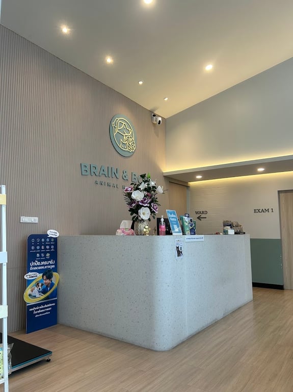 โรงพยาบาลสัตว์เบรนแอนด์โบน Brain and Bone Animal Hospital