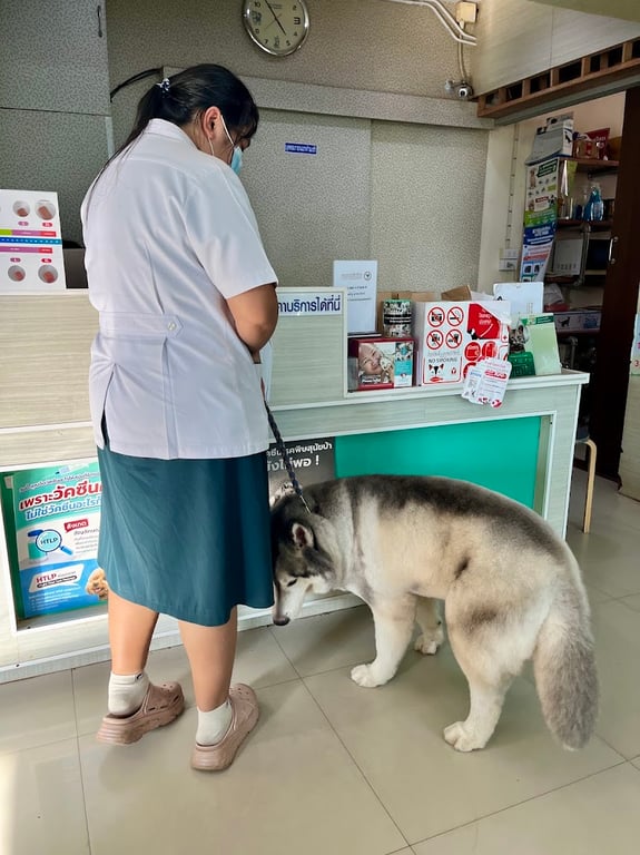 โรงพยาบาลสัตว์กรุงเทพกระบี่