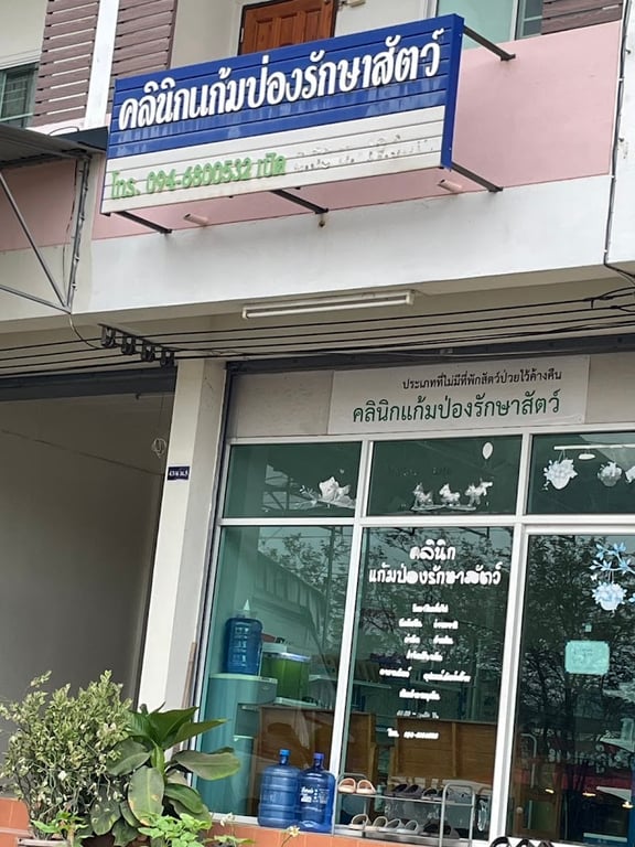 คลินิก แก้มป่องรักษาสัตว์