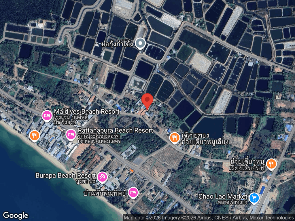 สถานที่หายของไข่เจียว