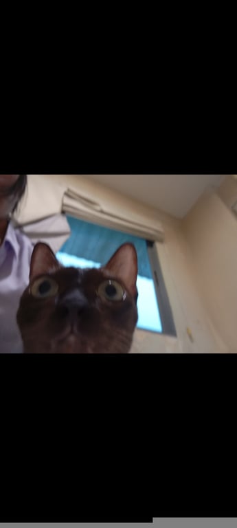 พลอย