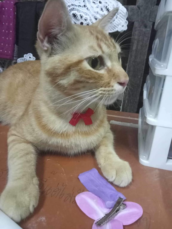 มีเงิน