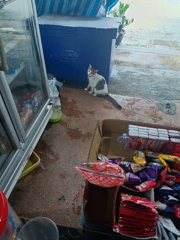 น้ำแข็ง