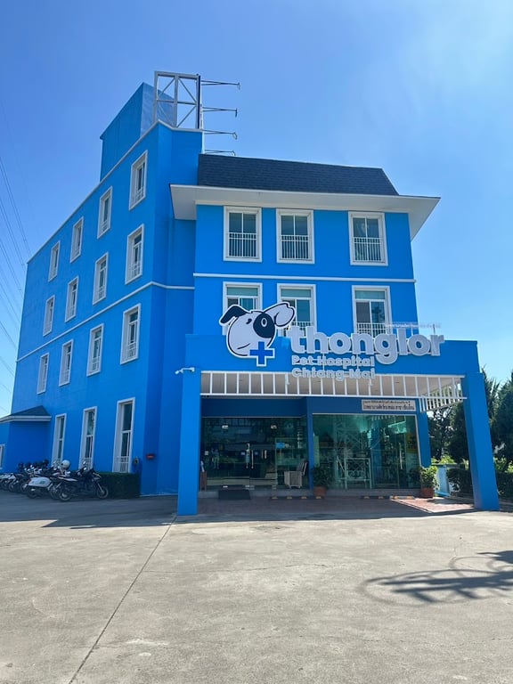 โรงพยาบาลสัตว์ทองหล่อ เชียงใหม่รวมโชค