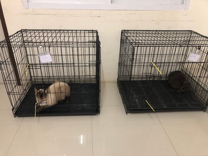 คลินิกสัตว์บ้านหมอเบนซ์