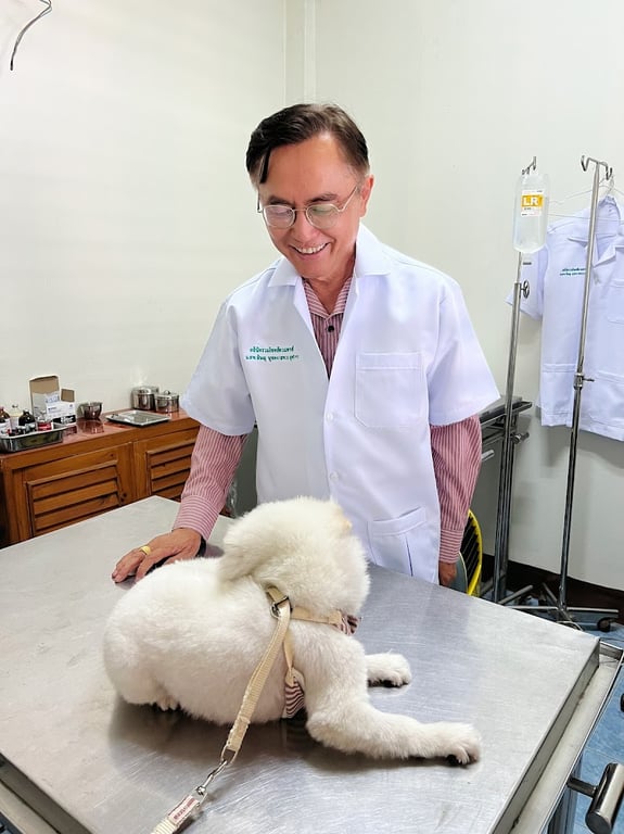 Ruamchok vet clinic