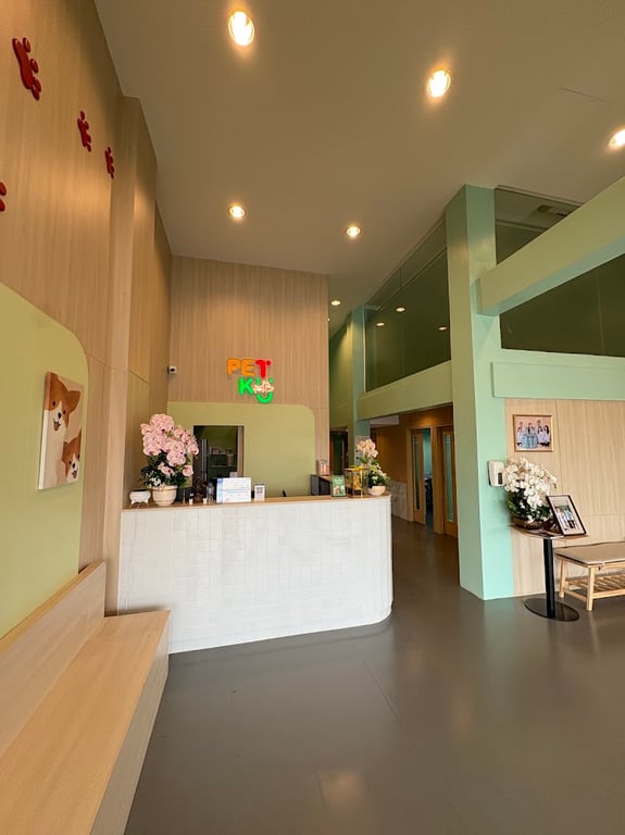 โรงพยาบาลสัตว์เพ็ทกุ บางแค-กาญจนาภิเษก Petku animal hospital Bang Care