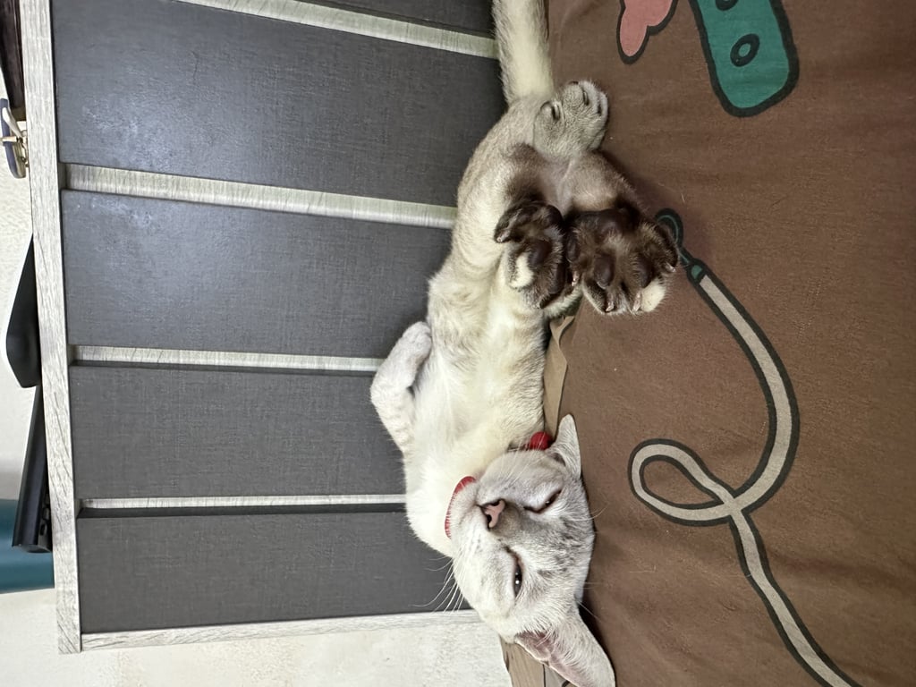 กวัก