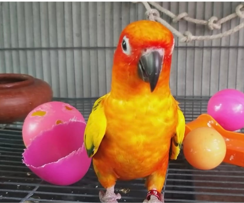 ซัน