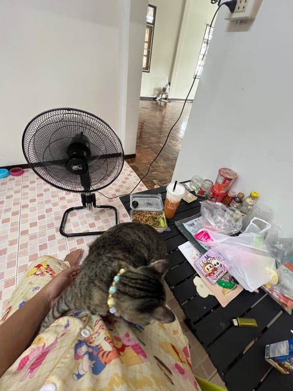 สลิด