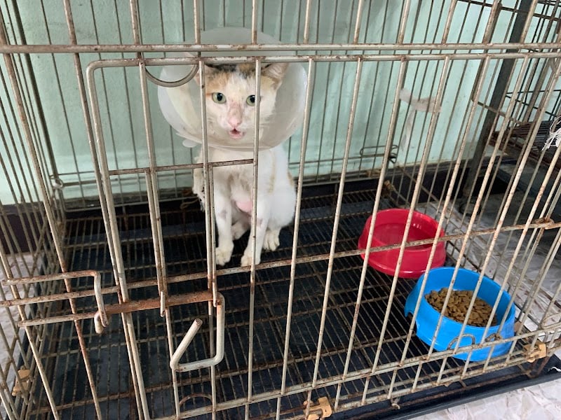 เมืองราชสัตวแพทย์