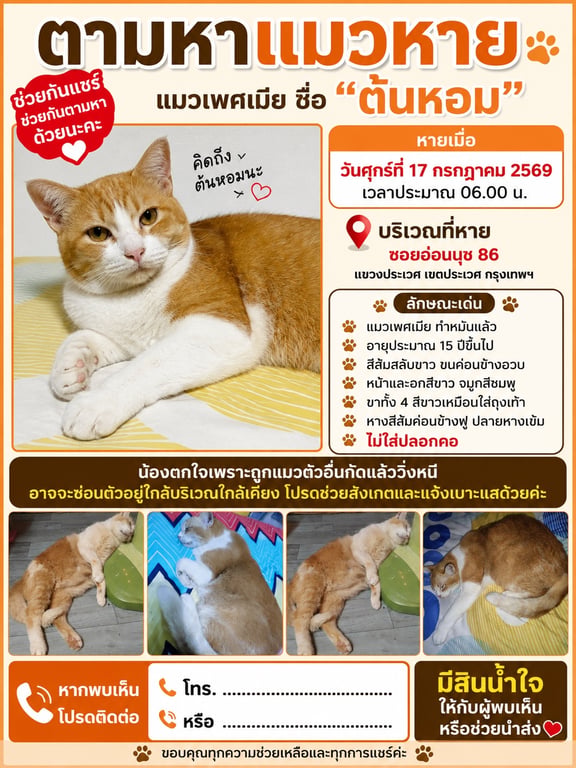 ต้นหอม
