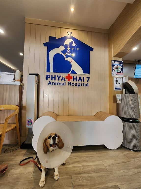 โรงพยาบาลสัตว์พญาไท 7 (สาขาอารีย์) | Phyathai 7 Animal Hospital (Ari Branch)